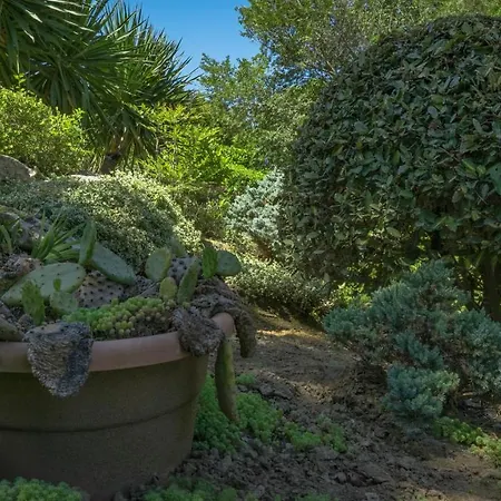 Apart-hotel Bendita Mare Golden Sands