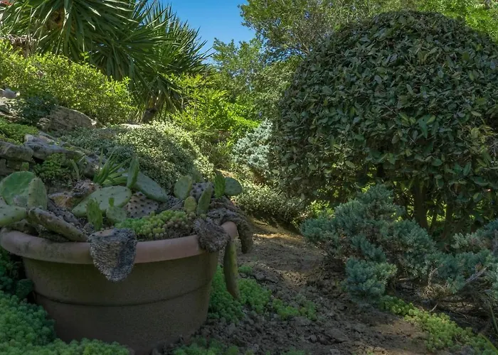 Apart-hotel Bendita Mare Golden Sands